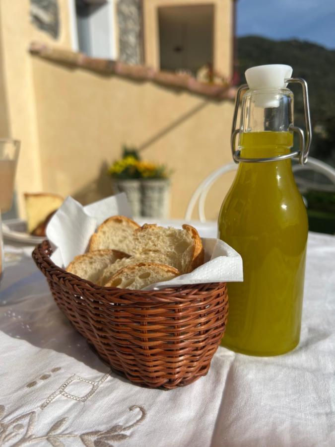 Agriturismo Le Merline Arnasco エクステリア 写真