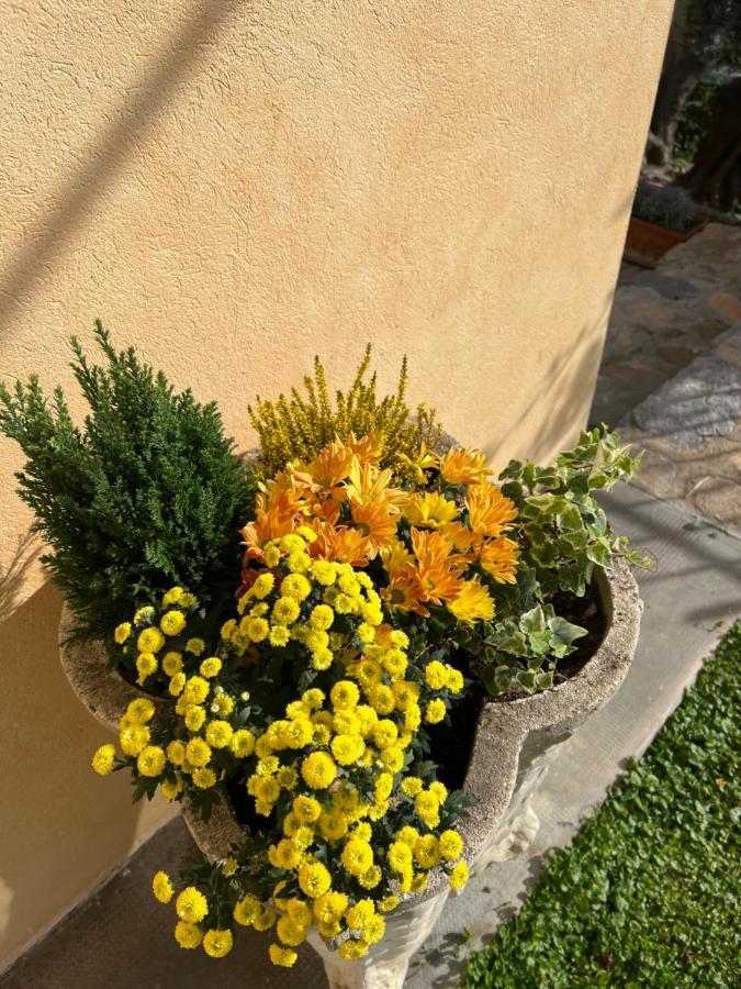 Agriturismo Le Merline Arnasco エクステリア 写真